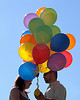 copyright Lili Vieira de Carvalho's